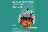 МЧС о запрете на сжигание сухостоя и пожнивных остатков